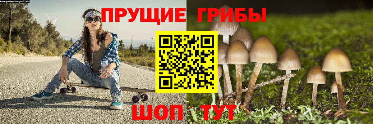 Камышин  Псилоцибиновые грибы прущие грибы  Вход с VPN 